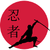 Ninjakämpfer