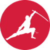 Ninja fighter