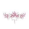 Canada Spikes