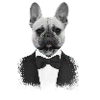 Bouledogue en Smoking Élégant