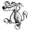 Wild Wolf - Canis Lupus - Cartoon