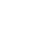 Cat ears nose whiskers