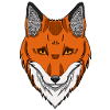 Fox's head