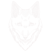 Tête de renard blanche
