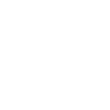 Aircraft pilot