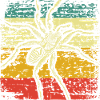 Spider animals