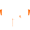 Skifoan ski goggles