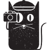 Cool simple CAT AND CAMERA