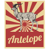 antelope