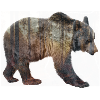 Bär im Wald
