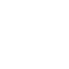 Dolphin White Gift