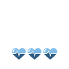 PFLEGER