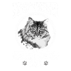 Mère de Maine Coon