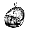 Head black