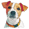jack russel