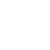 Kanji characters - ninja