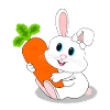 Carrot bunny bunny carrot