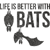 bat