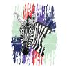 Animal Print - Zebra