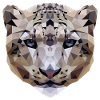 snow leopard geometric