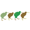 the kiwis
