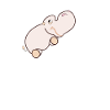 Hippopotame