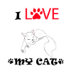 Chaton patte de chat