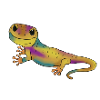 Geko
