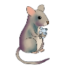 Maus mit Maus