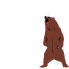 Bear bellow