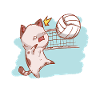 Cat volleyball