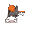 Cat basketball