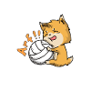 Fuchs Volleyball