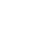 Tortue