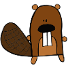 beaver