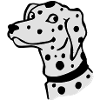 Dalmatian