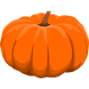 Kürbis