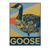Goose wild goose