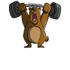 Gym bear lifting weights