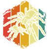 Spider phobia tarantula