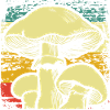 fungi