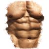 muscles 4