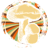 Drogues Champignons