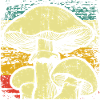 Pilze Pilzsammler