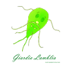 Giardia Lamblia
