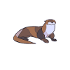 Otter Spiritual Animal