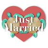 Just Married - turtle