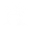Drums