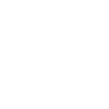 Iron