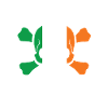 Irlandais aux os